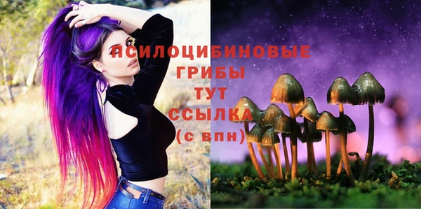 СК Козловка