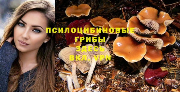 альфа пвп Коряжма