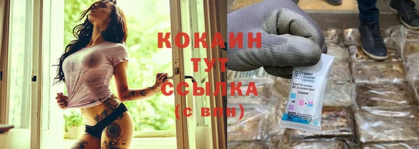 СК Козловка