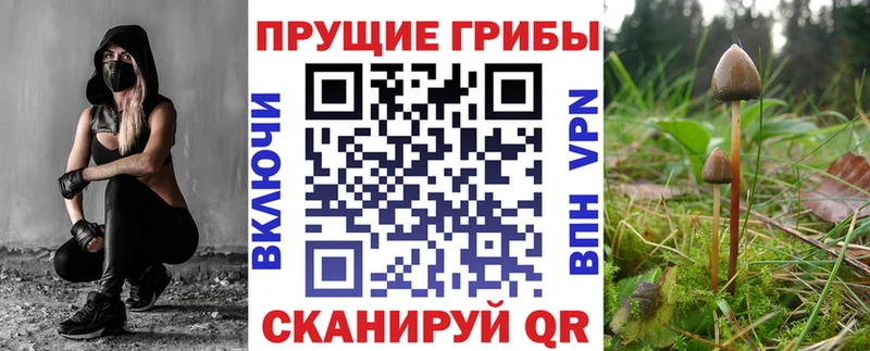 Галлюциногенные грибы Cubensis Купить где Изобильный